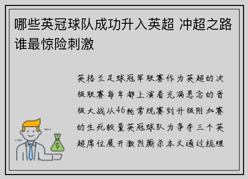 哪些英冠球队成功升入英超 冲超之路谁最惊险刺激
