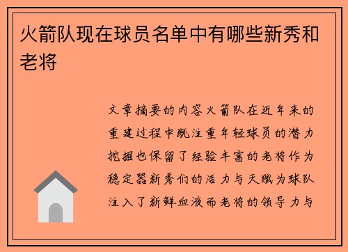 火箭队现在球员名单中有哪些新秀和老将